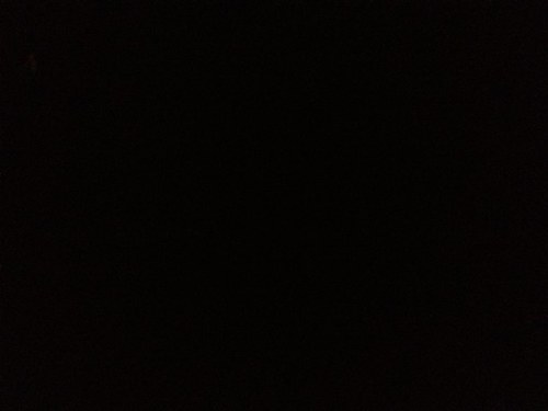 erbenoy's profile picture. 