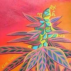 London-born & NY-raised synesthete, traveler, musician & music lover, psychologist, thinker, cannabis enthusiast and hippie revivalist