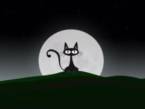 Oyle komikli biseyler iste canim.Maksat eglenmek gulmek deel mi zaten