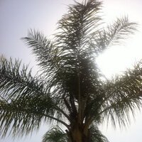 Kara McGann (@psych911) 's Twitter Profile Photo Kara McGann (@psych911) 's Twitter Profile Photo
