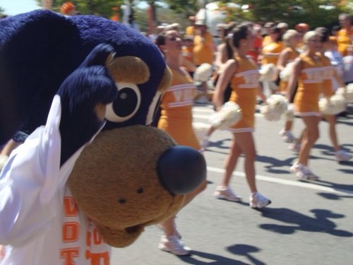 pj10eddie's profile picture. 