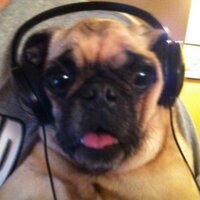 Keelan Enseki (@keelan_enseki) 's Twitter Profile
