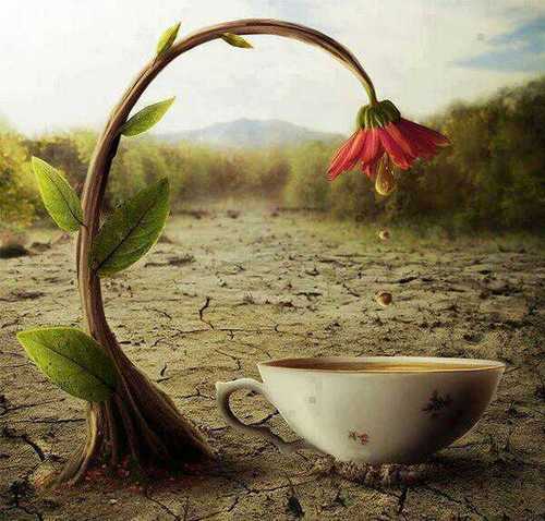 رۇحَي..ḿ