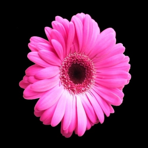 LindaVegas7's profile picture. 