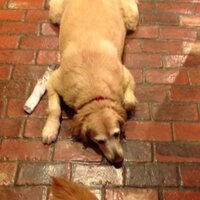 Mark Bugnitz (@markbugnitz) 's Twitter Profile