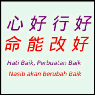 kokcong's profile picture. 