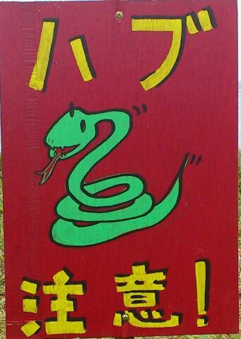 yochi23minnie's profile picture. 