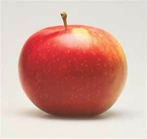 @RickyAppleseed