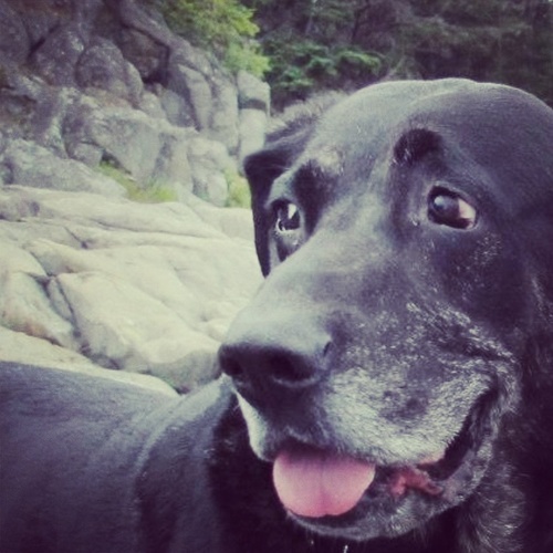 CarlyAndJane's profile picture. 