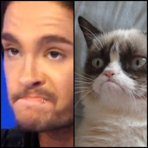 Viva Viagra! @n0tBi11kaulitz is my brotherly lover, and i *will* fight you for the last donut.