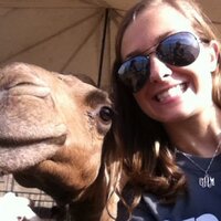 claire aven (@claire_avenator) 's Twitter Profile