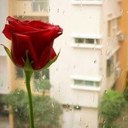 صمتي~شكآني (@9mti_shkani) Twitter