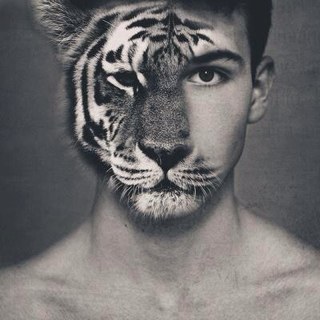 ApenasBabaquice Profile Picture