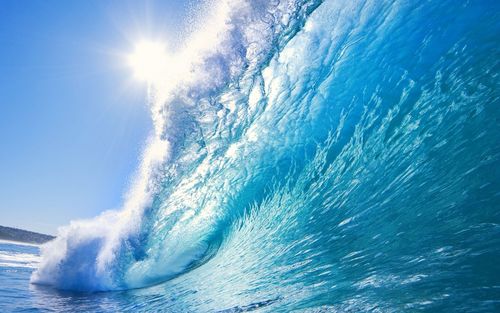 Online retailer of surfboards, accessories and apparel. Equinox, Paragon, Sticky Bumps, Dorsal, Aqua Grip, OneBallJay & more. Make us your #1 Online Surf Shop!