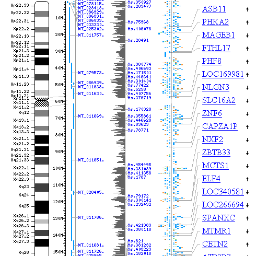 A feed of articles from bioinformatics blogs selected by @theodorepak