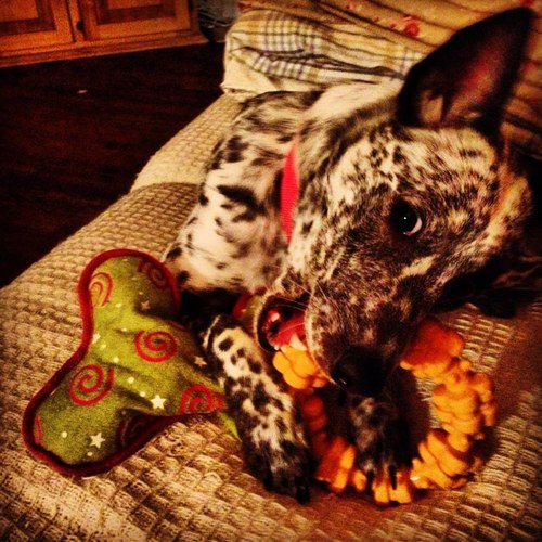 Lilmack07's profile picture. 