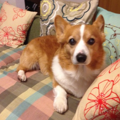 misakkoM0DE's profile picture. 