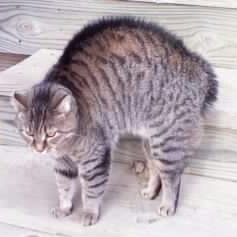 kikicat7's profile picture. 