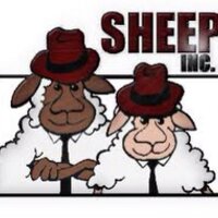 SheepInc (@sheepinc) 's Twitter Profile