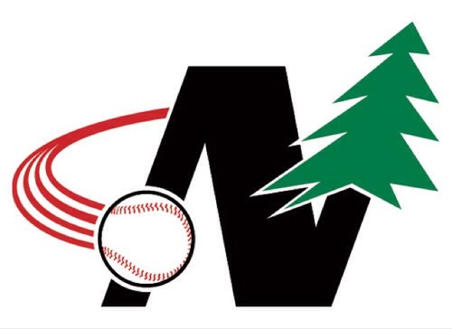 Reppin minnesota baseball Land of 10,000 lakes Ice fishing, hunting, baseball. dontcha know?