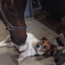 Ben pollock - @Benfarrier - Twitter