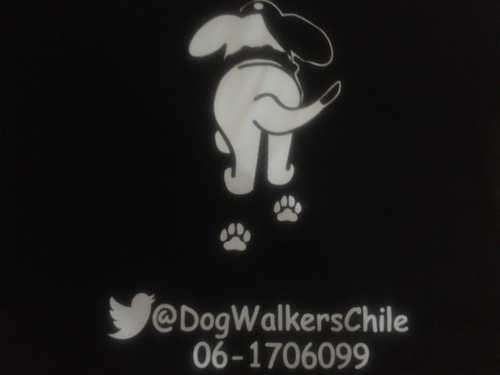 Somos jovenes emprendedores que brindamos el servicio de paseo de perros... 100% responsables y confiables. Contacto 06-1706099