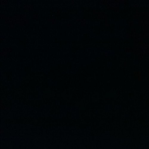 LilyKrahn12's profile picture. hi.