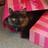 njwinningham's profile image