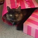 Nancy Winningham - @njwinningham - Twitter