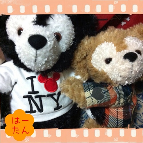 paaaaan_magic's profile picture. 細々と(´∀｀)好きなミキヲタ/DCL wonder,magic,dream/