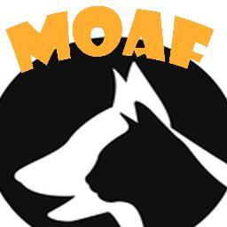 Movimiento Amigo Fiel (MOAF) , es creado con el propósito de proteger y defender a los perros y gatos que se encuentran abandonados.