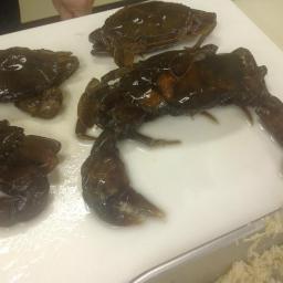 殻ごと食べられるカニを見つけました。 (@Okyakucom) | Twitter