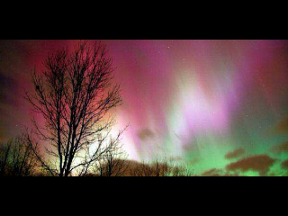 AuroraSaid's profile picture. I'll love you for a thaousand more{♥}