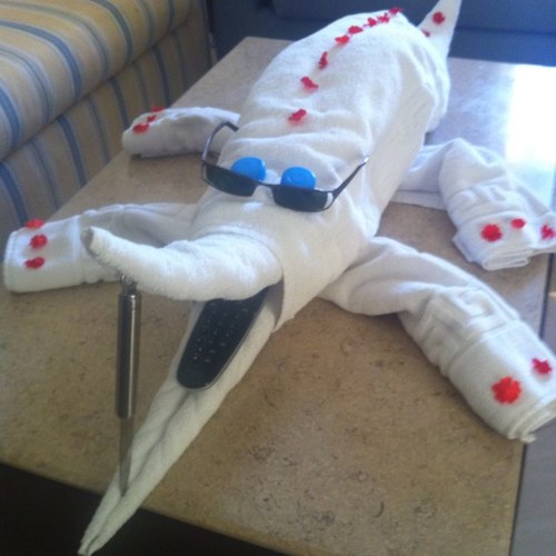 scorpbay's profile picture. 