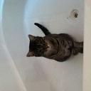 Stephanie Agius - @Agius93 - Twitter