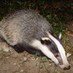 Si Needham (@simonneedham1) Twitter profile photo Si Needham (@simonneedham1) Twitter profile photo