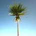 Torbay Social Group (@torbaysg) Twitter profile photo