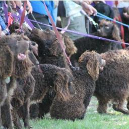 KarenBe18836654's profile picture. "retired" intrest in Murrays and Trad Oz music