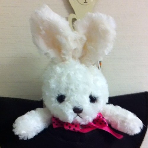 hirashno's profile picture. 