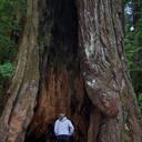 Ainsley Watt - @AinsleyEliza - Twitter