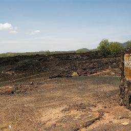 wachira_chris's profile picture. 