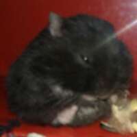 NamesnyM's profile picture. 