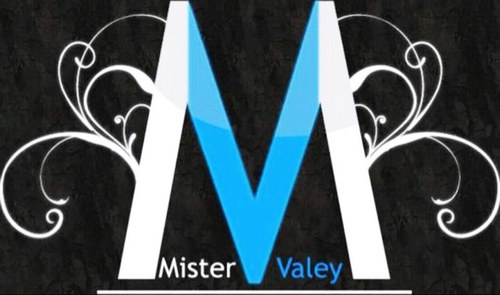 Music Production since 2004 | info@mistervaley.com