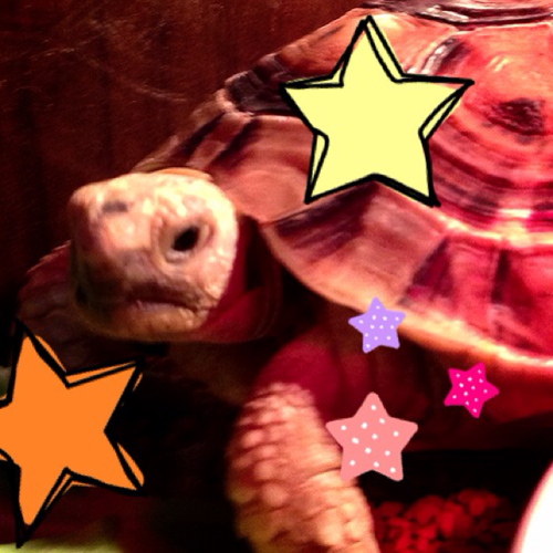 smisscar's profile picture. 千葉で理学療法士やってます。
ゆるく多趣味にまいにちたのしくいきてます。
稲穂Yeahhhhhhhhhh!!!

8/8 ｻﾏｰｼﾞｬﾑ 8/10 WHITEASH  9/26 Augusta camp