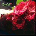 Aseilah Alseraidi♚ (@22_al3na) Twitter