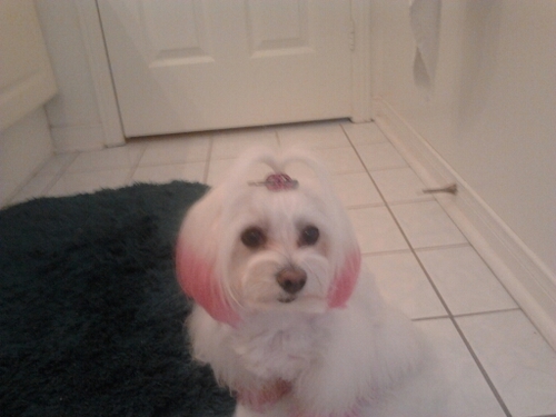 estherpark84's profile picture. my second twitter account. cool huh? i love baseball,hockey WWE and i love hip hop,r&b and rap sometimes pop.