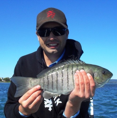 toddclarke81's profile picture. 