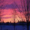 dave macleod - @macleod_dave - Twitter