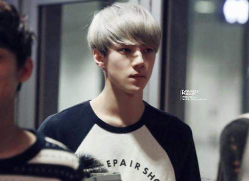 อันยองฮะ ผมเป็นน้องเล็กขี่อาย เซฮุน ครับฟอลมาคุยกับผมสิฮะแล้วจะหลงรักผม(ผมสนิทกับหยองลู่น้อยนะฮะ)ซารางเฮคนฟอลทุกคนนะฮะ^^