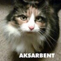 ＡＫＳＡＲＢＥＮＴ(@aksarbent) 's Twitter Profile Photo